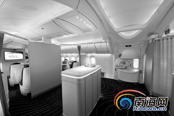 �ܵ��ɂȇ����˻��Ρ�ˮ�T(m��n)�����gӭ����787�ĵ���(l��i)����DƬ���ɱ���ӛ�������t�z